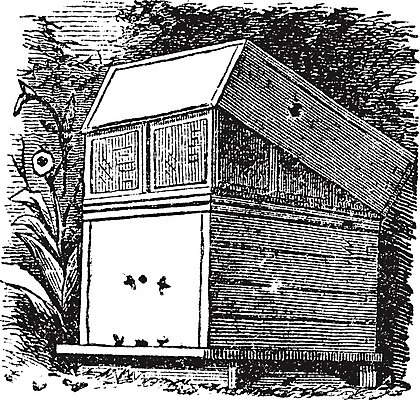 EPS 해외이미지 전통 디자인 산업 곤충 농업 일러스트 미술 목재 상자 검은색 장비 수확 골동품 흰색 나무상자 스케치 그림 상업 판화 꿀 벌집 동물상 분할 양봉 옛날 원자재 해외202004 해외일러스트 나무 동물 컬러 재료 문화예술 조형물 파일형식 벡터 이미지허브