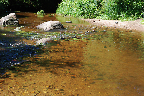 포토 JPG 해외이미지 나무 전통 모래 여행 사람없음 옆모습 물 강 계곡 침묵 프랑스 조약돌 가장자리 장면 프랑스어 해외202004 해외포토 자연요소 식물 문자 유럽 뷰포인트 소리 돌_바위 둘레 파일형식 이미지허브