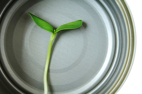 포토 JPG 해외이미지 식물 음식 잎 채소 포장 자연 해바라기 건강 씨앗 사람없음 초록색 새싹 금속 신선 캔 유기농 뿌리 통조림 모종 채식주의자 해외202004 해외포토 웰빙 꽃 컬러 재질 생태계 채식 파일형식 이미지허브