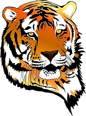 EPS 해외이미지 동물 디자인 얼굴 야생동물 일러스트 포유류 자연 추상 그래픽 머리 고양이 힘 호랑이 우아함 위험 만화 문신 그림 해외202004 해외일러스트 컨셉 무늬 신체부위 반려동물 생태계 파일형식 벡터 이미지허브