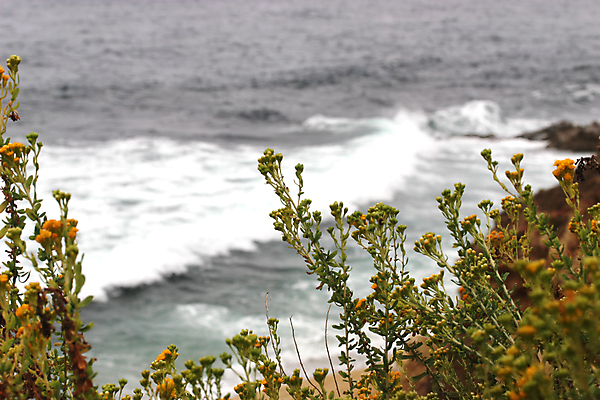포토 JPG 해외이미지 계절 꽃 파도 바다 섬 여행 꽃무늬 자연 휴가 휴식 따뜻함 풍경 사람없음 야외 초록색 물 여름 파란색 태양 노란색 쌓기 환경 봄 흰색 황금 장면 태평양 내추럴 해외202004 해외포토 자연요소 식물 컬러 컨셉 무늬 모션 생태계 파일형식 이미지허브