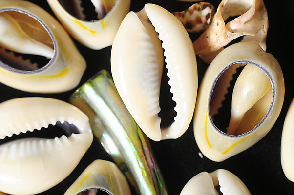 포토 JPG 해외이미지 모양 동물 바다 백그라운드 패턴 자연 조개 연체동물 프레임 골격 실내 나선형 갑각류 어류 사람없음 장식 견과류 껍질 소라 심볼 해산물 오브젝트 분필 질감 달팽이 뼈대 가리비 고립 등딱지 석회암 많음 해외202004 해외포토 컨셉 무늬 어패류 무척추동물 내부 수중동물 암석 초크 생태계 파일형식 이미지허브