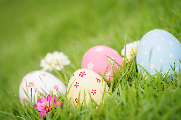 포토 JPG 해외이미지 전통 디자인 계절 꽃 행복 종교 음식 백그라운드 컨셉 자연 하늘 휴가 부활절 사람없음 야외 장식 초록색 파란색 컬러풀 노란색 바구니 우주 계란 축제 봄 흰색 축하 그리기 그룹 닫기 4월 심볼 사냥 줄서기 해외202004 해외포토 식물 기념일 감정 컬러 모션 알 날짜 생태계 파일형식 이미지허브