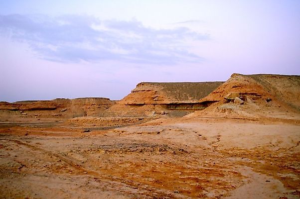 포토 JPG 해외이미지 나무 여행 자연 하늘 휴가 산 건조 따뜻함 건강 사람없음 태양 여행객 일출 사막 자유 뜨거움 그룹 중앙 동쪽 루트 이스라엘 해외202004 해외포토 자연요소 식물 컨셉 사람 노을 방향 생태계 서아시아 파일형식 이미지허브
