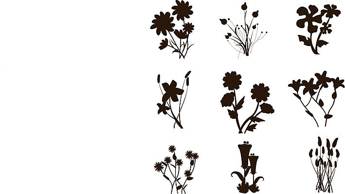 EPS 해외이미지 식물 템플릿 디자인 배너 꽃잎 꽃 실루엣 파도 백그라운드 컨셉 잎 꽃무늬 곡선 일러스트 자연 벽지 추상 미래 미술 그래픽 장식 검은색 덮개 소용돌이 흰색 구부린 웨이브 초대 거짓 고립 굴곡 해외202004 해외일러스트 선 바다 컬러 무늬 모션 문화예술 촬영기법 뚜껑 회오리 생태계 파일형식 벡터 이미지허브