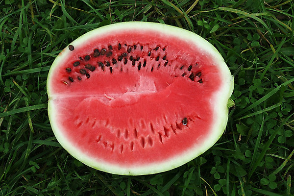 포토 JPG 해외이미지 열매 수박 사람없음 빨간색 초록색 달콤 맛 식용 해외202004 해외포토 식물 컬러 컨셉 과일 파일형식 이미지허브