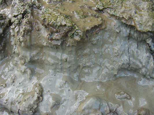 포토 JPG 해외이미지 지구 물결 모래 파도 모션 사람없음 물 갈색 쌓기 젖음 흐름 파편 미끄럼틀 발굴 언덕 먼지 점토 진흙 흙더미 덩어리 깨짐 땅바닥 파멸 해외202004 해외포토 자연요소 바다 컬러 컨셉 바닥 흙 놀이기구 파일형식 더미 소멸 이미지허브