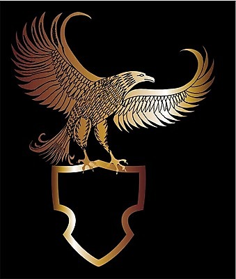 EPS 해외이미지 클립아트 디자인 리본 무기 야생동물 스티커 날개 일러스트 자연 조류 불꽃 평화 미국 자유 승마 황금 공격 손톱 문신 깃털 사인 만들기 독수리 육식동물 사냥꾼 방패 기념물 애국심 부족 마스코트 신앙심 필승 해외202004 영광군 해외일러스트 동물 직업 손 스포츠 컨셉 북아메리카 모션 불 우승 전라남도 생태계 파일형식 벡터 이미지허브