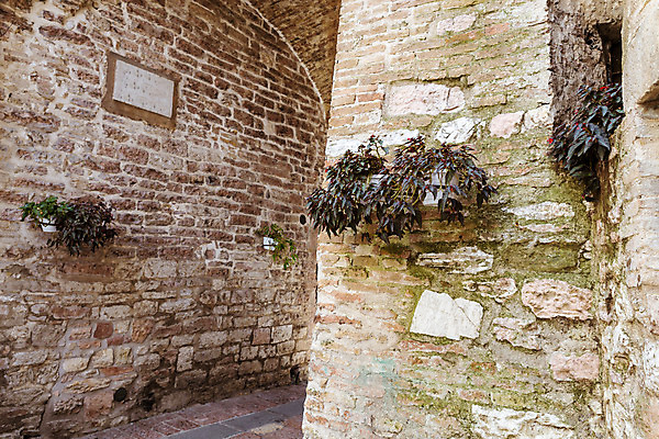포토 JPG 해외이미지 유럽 음식 벽 여행 건축양식 하늘 거리 파노라마 사람없음 건물 식당 저녁식사 이탈리아 조약돌 도시 중세 역사 작음 타운 옛날 토스카나 해외202004 해외포토 건축물 건축 나라 촬영기법 상점 식사 돌_바위 크기 파일형식 이미지허브