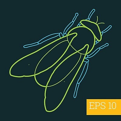 EPS 해외이미지 디자인 선 일러스트 자연 그래픽 픽토그램 주름 해충 벌레 지저분함 심볼 오브젝트 사인 그림 심플 윤곽 고립 얇은 엘리먼트 해외202004 해외일러스트 곤충 감각 생태계 파일형식 벡터 이미지허브