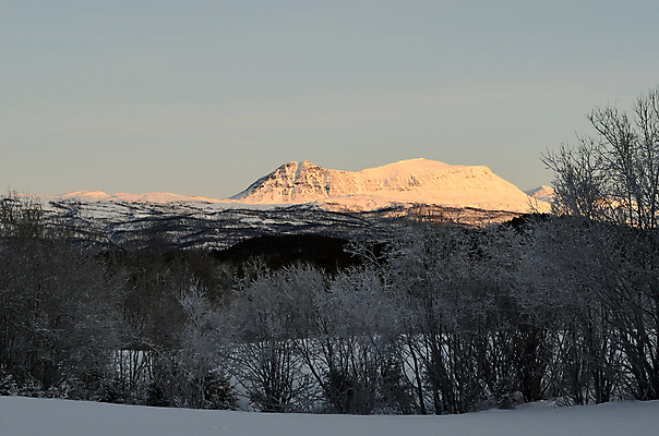 포토 JPG 해외이미지 나무 식물 계절 겨울 자연 날씨 산 노르웨이 풍경 사람없음 야외 목재 빛 햇빛 평화 환경 냉동 얼음 추위 흰색 나뭇가지 소나무 원형 황무지 숲 시원함 북극 순수 묘사 그림 서리 장면 북쪽 마법 자작나무 내추럴 강렬 땅바닥 북극해 수목 눈내림 가문비나무 해외202004 해외포토 자연요소 도형 유럽 바다 컬러 컨셉 재료 바닥 눈_날씨 태양 극지방 방향 생태계 파일형식 이미지허브