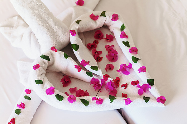 포토 JPG 해외이미지 모양 디자인 커플 꽃잎 꽃 결혼 백그라운드 자연 조류 호텔 결혼식 휴가 휴식 주택 발렌타인데이 사랑 미술 사람없음 내부 장식 빨간색 수건 장미 검은색 침실 방 신혼여행 달 흰색 하트 침대 축하 인사 고급 구부린 심볼 서비스 백조 솜털 해외202004 해외포토 자연요소 식물 동물 감정 컬러 가구 컨셉 관계 모션 데이이벤트 숙소 문화예술 이벤트 건물 위생용품 예절 생태계 파일형식 이미지허브