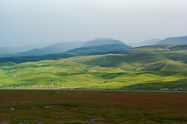 포토 JPG 해외이미지 구름 농업 자연 하늘 산 풍경 사람없음 중국 가축 소 방목 해외202004 해외포토 자연요소 동물 산업 아시아 포유류 축산업 생태계 파일형식 이미지허브