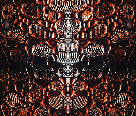 포토 JPG 해외이미지 동물 백그라운드 패턴 가방 파충류 자연 프레임 미술 사람없음 빨간색 갈색 유행 검은색 희망 핸드백 뱀 고급 가죽 피부 질감 눈금 악어 소가죽 수하물 효과 해외202004 해외포토 잡화 감정 컬러 컨셉 무늬 문화예술 신체부위 생태계 파일형식 이미지허브