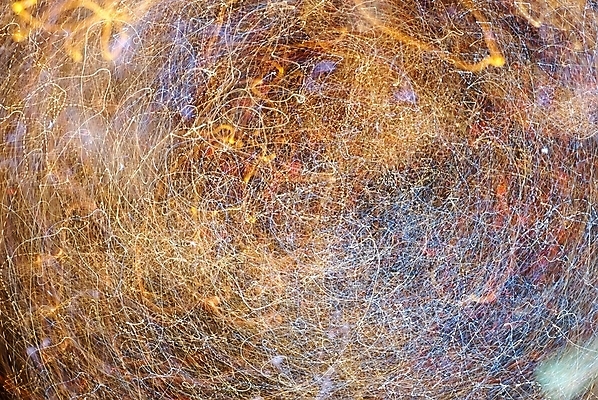 포토 JPG 해외이미지 모양 디자인 별 선 파도 포즈 백그라운드 곡선 일러스트 모션 상상 추상 미래 폭죽 미술 사람없음 그래픽 빨간색 빛 어둠 힘 활발 흐름 에너지 소용돌이 매끈함 야간 소프트포커스 시원함 속도 복고 네온 펑키 광 무한 엘리먼트 많음 효과 해외202004 해외포토 자연요소 바다 컬러 컨셉 무늬 문화예술 촬영기법 회오리 감각 파일형식 이미지허브