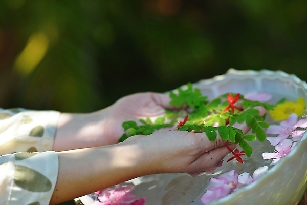 포토 JPG 해외이미지 손 꽃 들기 야외 신체부위 물 햇빛 스파 손모으기 대야 해외포토 자연요소 식물 모션 사람 손짓 태양 파일형식 이미지허브