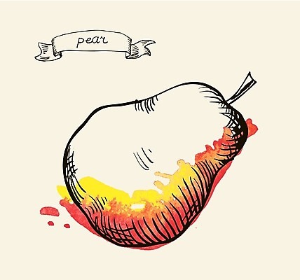 EPS 해외이미지 식물 손 디자인 종이 선 음식 백그라운드 농업 다이어트 과일 일러스트 자연 수채화 건강 미술 그래픽 장식 초록색 여름 농장 정원 검은색 수확 흰색 신선 신용카드 그리기 달콤 맛 스케치 그림 유기농 복고 손그림 점심식사 바이오 숙성 옛날 해외202004 해외일러스트 웰빙 계절 산업 컬러 컨셉 모션 문화예술 신체부위 금융 식사 생태계 파일형식 벡터 이미지허브