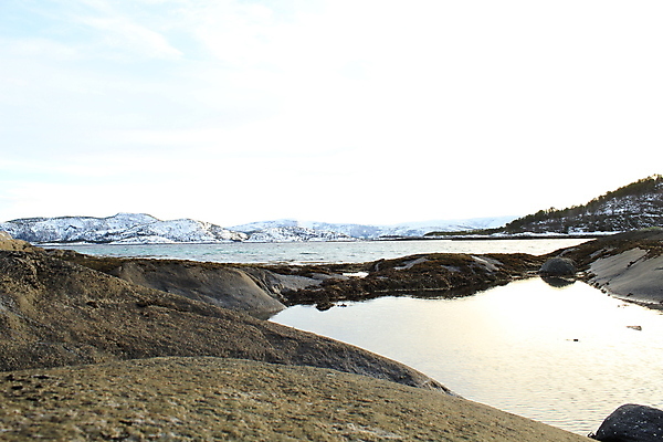 포토 JPG 해외이미지 식물 음식 바다 여행 백그라운드 자연 표면 추상 새로움 노르웨이 사람없음 야외 초록색 물 파란색 반사 갈색 노란색 바위 해조류 닫기 묘사 질감 장면 태평양 서식지 남쪽 내추럴 수경재배 해외202004 해외포토 자연요소 유럽 컬러 컨셉 무늬 모션 돌_바위 해양식물 방향 생태계 파일형식 이미지허브