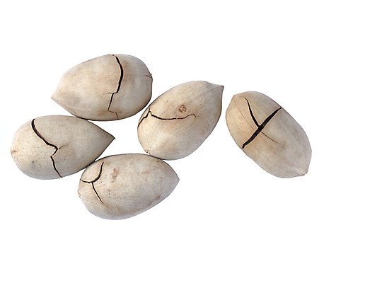 포토 JPG 해외이미지 음식 백그라운드 농업 다이어트 재료 디저트 건조 건강 사람없음 갈색 견과류 튀김 맛 오브젝트 유기농 알맹이 내추럴 채식주의자 피칸 해외202004 해외포토 웰빙 산업 컬러 컨셉 채식 파일형식 이미지허브