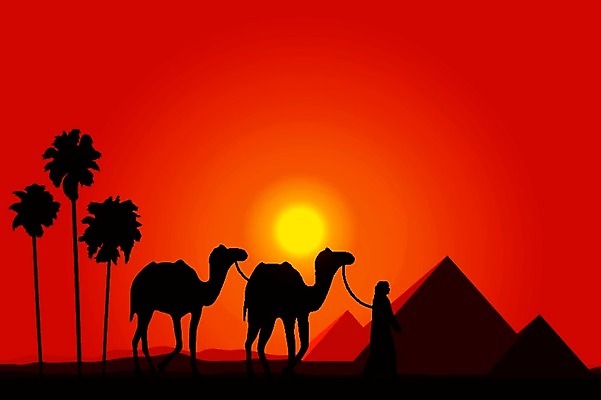 EPS 해외이미지 실루엣 문화 야생동물 모래 여행 백그라운드 일러스트 자연 하늘 휴식 이집트 손바닥 풍경 태양 일몰 뜨거움 역사 기자 큼 모래언덕 무역 폐허 피라미드 먼지 낙타 동쪽 스카이라인 사하라 고고학 아랍어 오아시스 카라반 카이로 수평선 해외202004 해외일러스트 자연요소 동물 직업 건축물 손 교육 산업 컨셉 포유류 아프리카 촬영기법 노을 사막 크기 방향 언덕 생태계 캠핑카 랜드마크 파일형식 벡터 이미지허브