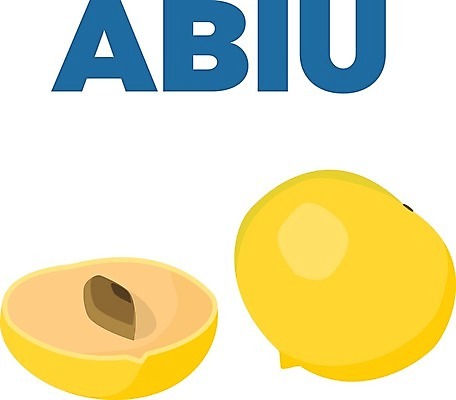 EPS 해외이미지 식물 공원 음식 밭 과일 일러스트 자연 건강 야외 목재 장식 노란색 흰색 신선 달콤 맛 농부 유기농 하와이 멀리 브라질 내추럴 생태학 숙성 이국적 채식주의자 브라질사람 해외202004 해외일러스트 나무 직업 웰빙 공공시설 교육 컬러 컨셉 농업 재료 미국 남아메리카 생태계 채식 파일형식 벡터 이미지허브