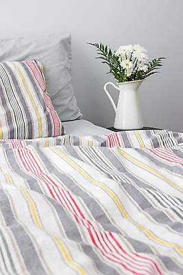 포토 JPG 해외이미지 디자인 꽃 꽃다발 베개 침구 휴식 아파트 주택 사람없음 내부 장식 빨간색 초록색 빛 컬러풀 햇빛 꽃병 줄무늬 침실 이불 회색 흰색 침대 조끼 담요 데이지 안락 해외202004 해외포토 식물 컬러 가구 컨셉 무늬 건물 태양 외투 파일형식 이미지허브