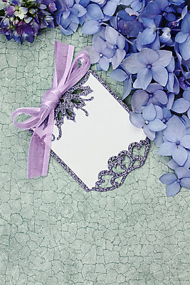 포토 JPG 해외이미지 식물 디자인 꽃잎 꽃 꽃다발 백그라운드 꽃무늬 패턴 추상 프레임 선물 사람없음 보라색 봄 공백 수확 벚꽃 흰색 인사 신선 신용카드 생일 개화 질감 복고 엽서 수국 라일락 정물화 파스텔톤 카피스페이스 해외202004 해외포토 계절 기념일 컬러 무늬 농업 금융 예절 편지 그림 파일형식 이미지허브