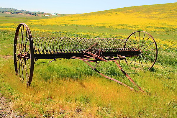 포토 JPG 해외이미지 식물 패턴 밭 농업 자연 하늘 사람없음 야외 초록색 파란색 농장 농경지 미국 공구 시골 바퀴 농부 부식 질감 캘리포니아 밭일 서쪽 옛날 쟁기 해외202004 해외포토 직업 산업 컬러 북아메리카 무늬 도구 방향 생태계 파일형식 이미지허브