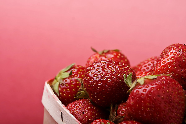 포토 JPG 해외이미지 계절 열매 음식 과일 딸기 건강 사람없음 여름 농장 바구니 대접 선택 해외202004 해외포토 식물 컨셉 농업 파일형식 이미지허브