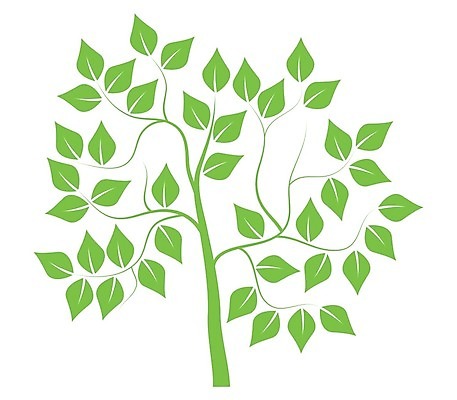 EPS 해외이미지 나무 디자인 계절 실루엣 백그라운드 크리스마스 일러스트 자연 추상 미술 목재 세트 검은색 웹 흰색 소나무 수집 심볼 고립 미니멀 해외202004 해외일러스트 식물 기념일 컬러 무늬 인터넷 재료 문화예술 촬영기법 생태계 파일형식 벡터 이벤트 이미지허브