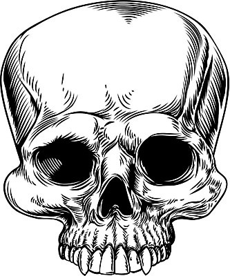 EPS 해외이미지 선 백그라운드 일러스트 뼈 골격 경고 사람 목재 머리 라벨 검은색 블록 할로윈 수확 흰색 죽음 독약 인쇄 위험 자르기 문신 사인 그림 복고 해적 판화 턱 목각 고립 목판화 해골모형 해외202004 해외일러스트 나무 컬러 컨셉 농업 재료 모션 프레임 미술 신체부위 모형 도둑 파일형식 벡터 이미지허브