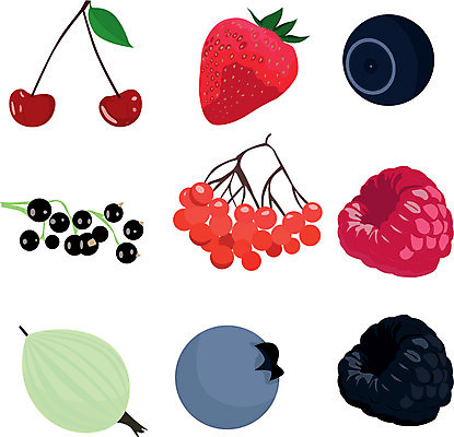 EPS 해외이미지 식물 열매 음식 분홍색 잎 일러스트 딸기 빨간색 초록색 파란색 갈색 검은색 체리 맛 먹기 오브젝트 블루베리 산딸기 블랙베리 건포도 고립 구스베리 해외202004 해외일러스트 컬러 컨셉 과일 모션 포도 건과일 파일형식 벡터 이미지허브