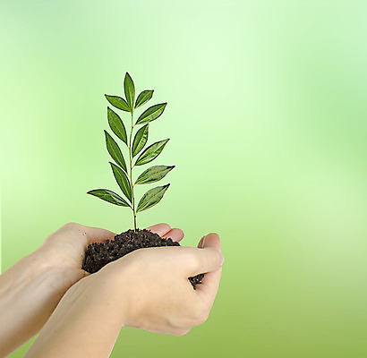 포토 JPG 해외이미지 나무 식물 손 여자 지구 컨셉 잎 자연 선물 사람 사람없음 초록색 새싹 환경 흙 성장 보호 생물학 개발 모종 생태학 심기 해외202004 해외포토 교육 컬러 모션 신체부위 생태계 파일형식 이미지허브