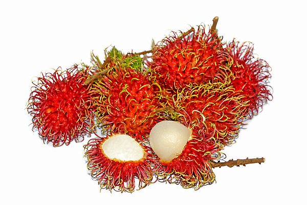 포토 JPG 해외이미지 식물 계절 아시아 음식 줄기 농업 다이어트 과일 재료 태국 자연 디저트 건강 씨앗 동양인 사람없음 빨간색 초록색 컬러풀 수확 껍질 흰색 신선 시장 달콤 맛 과수원 먹기 피부 상쾌 유기농 날것 내추럴 숙성 식용 이국적 많음 해외202004 해외포토 웰빙 감정 나라 산업 컬러 컨셉 모션 인종 신체부위 생태계 파일형식 이미지허브