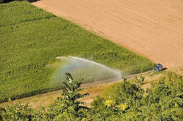 포토 JPG 해외이미지 계절 유럽 무지개 밭 농업 옥수수 풍경 사람없음 야외 초록색 물 여름 프랑스 시리얼 해외202004 해외포토 자연요소 나라 산업 음식 컬러 곡류 파일형식 이미지허브