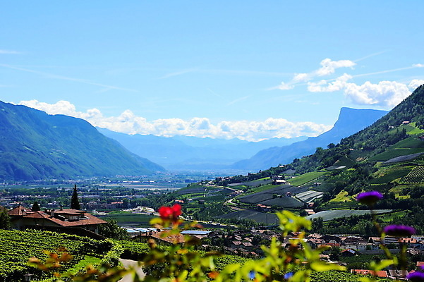 포토 JPG 해외이미지 산 주택 풍경 사람없음 건물 여름 마을 이탈리아 알프스 해외202004 해외포토 건축물 계절 유럽 파일형식 이미지허브