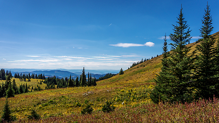 포토 JPG 해외이미지 나무 구름 계절 백그라운드 자연 하늘 산 파노라마 풍경 사람없음 야외 초록색 여름 파란색 태양 계곡 하이킹 정상 숲 수평선 해외202004 해외포토 자연요소 식물 컬러 레저 촬영기법 생태계 파일형식 이미지허브