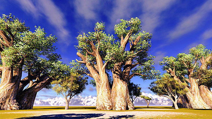 포토 JPG 해외이미지 모양 나무 식물 공원 실루엣 야생동물 여행 오렌지 아프리카 자연 하늘 풍경 사람없음 야외 빨간색 파란색 빛 세트 세계 태양 노란색 일출 환경 황혼 일몰 달 나뭇가지 원주민 큼 제비꽃 사파리 윤곽 내추럴 옛날 이국적 전국 해외202004 해외포토 자연요소 동물 공공시설 꽃 나라 컬러 과일 촬영기법 노을 아프리카인 크기 생태계 파일형식 이미지허브