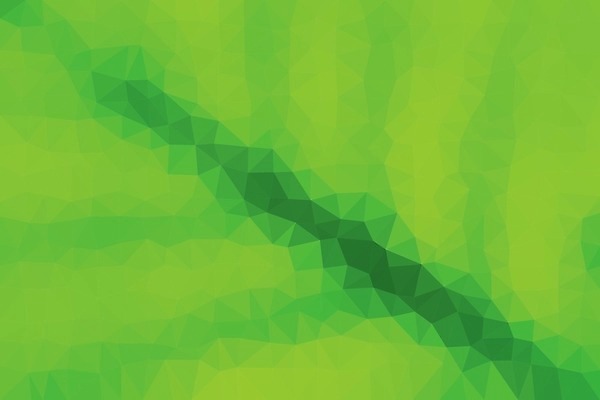 EPS 해외이미지 모양 식물 템플릿 디자인 백그라운드 잎 패턴 일러스트 자연 벽지 표면 추상 경사 그래픽 장식 초록색 빛 웹 신용카드 주름 고급 삼각형 크리스탈 질감 종이접기 다이아몬드 모자이크 광택 정맥 구김 다각형 폴리곤 효과 해외202004 해외일러스트 도형 종이 컬러 컨셉 무늬 인터넷 모션 금융 광석 보석 생태계 혈관 접기 파일형식 벡터 이미지허브