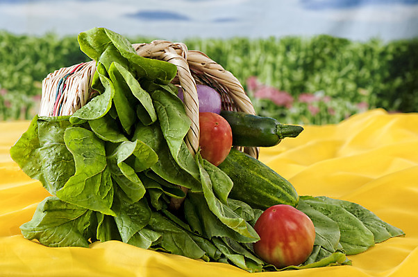 포토 JPG 해외이미지 음식 농업 토마토 채소 오이 건강 사람없음 빨간색 초록색 정원 성장 흰색 신선 맛 상추 유기농 적양파 주키니 해외202004 해외포토 웰빙 산업 컬러 컨셉 양파 파일형식 이미지허브