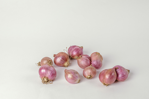 포토 JPG 해외이미지 식물 아시아 음식 백그라운드 다이어트 채소 재료 전구 양파 건강 요리 동양인 사람없음 빨간색 흰색 신선 사발 날것 내추럴 생식 채식주의자 샬롯 해외202004 해외포토 나라 컬러 인종 사기그릇 채식 파일형식 이미지허브