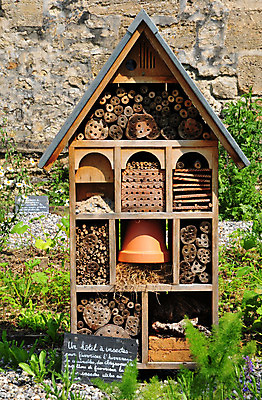 포토 JPG 해외이미지 외관 곤충 주택 사람없음 야외 마을 정원 프랑스 시골 옛날 해외202004 해외포토 동물 유럽 건물 파일형식 이미지허브