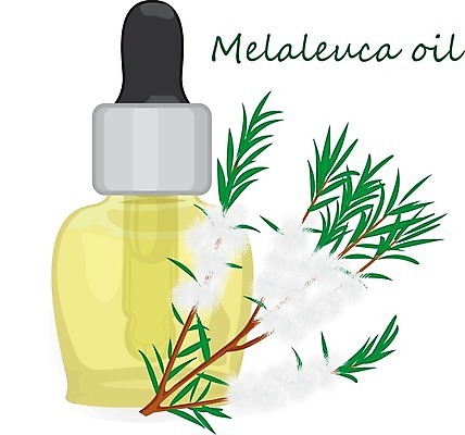 EPS 해외이미지 나무 식물 디자인 꽃 잎 꽃무늬 일러스트 건강 치료 초록색 세트 약 라벨 화장품 마사지 약초 상품 약국 수집 허브 향수 향신료 그림 유기농 향기 아로마 향 침엽수 성분 아로마테라피 조제 내추럴 보충 바이오 채식주의자 해외202004 해외일러스트 웰빙 컬러 무늬 의학 프레임 뷰티 풀_식물 채식 냄새 만들기 테라피 향미료 파일형식 벡터 이미지허브