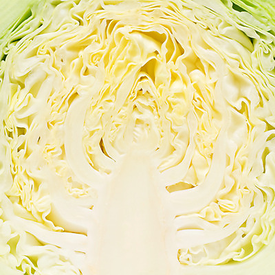 포토 JPG 해외이미지 식물 1 음식 조각 백그라운드 십자가 잎 농업 다이어트 채소 부분 건강 요리 사람없음 목재 노란색 머리 중국 샐러드 흰색 신선 칼 자르기 묘사 준비 유기농 질감 양배추 날것 흙더미 내추럴 고립 채식주의자 해외202004 해외포토 나무 웰빙 산업 아시아 컬러 재료 모션 신체부위 흙 채식 파일형식 더미 이미지허브