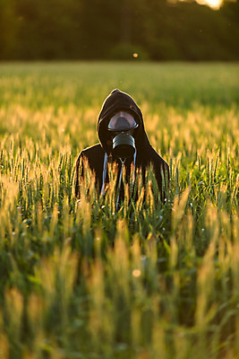 포토 JPG 해외이미지 남자 꽃 밭 건강 가면 한명 야외 햇빛 약 건강관리 환경 검은색 황혼 봄 고통 시골 열 개화 호흡기관 볏짚 보호 질병 밀 예방 꽃가루 테라피 알레르기 돌봄 반응 재채기 치료제 해외202004 해외포토 식물 1 계절 감정 컬러 컨셉 농업 의학 모션 곡류 관리 사람 태양 뷰티 일몰 장기_의학 짚 가루 파일형식 이미지허브