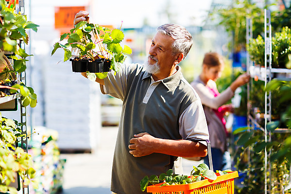 포토 JPG 해외이미지 식물 계절 열매 음식 잎 농업 채소 과일 재료 자연 딸기 건강 씨앗 사람 야외 두명 빨간색 초록색 농작물 태양 농장 정원 식사 흙 봄 성장 신선 업무 그룹 선택 달콤 농부 작음 수집 주기 상쾌 유기농 원예 DIY 내추럴 땅바닥 모종 밭일 숙성 원예사 해외202004 해외포토 자연요소 직업 웰빙 감정 산업 컬러 컨셉 모션 바닥 취미 작업 맛 크기 생태계 파일형식 이미지허브