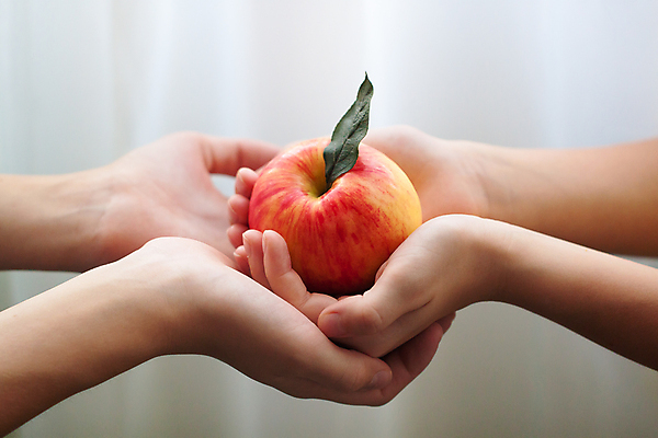 포토 JPG 해외이미지 라이프스타일 손 디자인 여자 행복 어린이 음식 백그라운드 농업 과일 자연 탁자 추상 건강 사랑 미술 사람 사람없음 빨간색 초록색 물 평화 정원 우정 아기 신선 잡기 달콤 사과 먹기 심볼 유기농 클립 고립 숙성 채식주의자 해외202004 해외포토 자연요소 웰빙 감정 산업 컬러 가구 컨셉 무늬 모션 문화예술 생활 신체부위 친구 맛 생태계 채식 파일형식 이미지허브