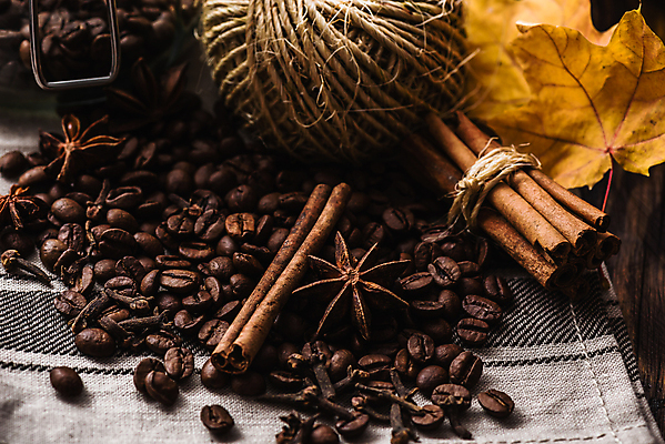 포토 JPG 해외이미지 낙엽 실내 사람없음 원두 향신료 시나몬스틱 해외202004 팔각회향 해외포토 커피 잎 내부 시나몬 향미료 파일형식 이미지허브