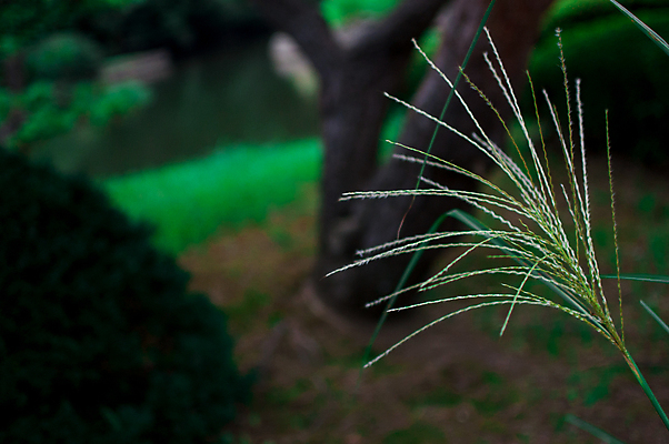 포토 JPG 해외이미지 식물 구름 응시 도로 여행 지도 배낭 하늘 휴가 거리 사랑 풍경 사람없음 야외 파란색 태양 여행객 카메라 일본 일몰 회색 그물 끝 도쿄 상품 발사 배낭여행 시력 방문 동쪽 방법 백패커 해외202004 해외포토 자연요소 시선 감정 아시아 길 컬러 가방 교통시설 사람 전자제품 노을 방향 파일형식 이미지허브