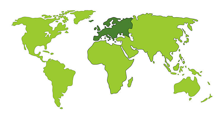 EPS 해외이미지 모양 디자인 유럽 아시아 지구 과학 여행 백그라운드 컨셉 지도 일러스트 통신 아프리카 벽지 추상 그래픽 파란색 빛 세계 글로벌 우주 디지털 웹 미국 행성 시간 네트워크 호주 대륙 질감 시스템 북쪽 동쪽 남쪽 지도책 지리 스타일 해외202004 해외일러스트 나라 컬러 북아메리카 무늬 인터넷 책 오세아니아 방향 파일형식 벡터 이미지허브